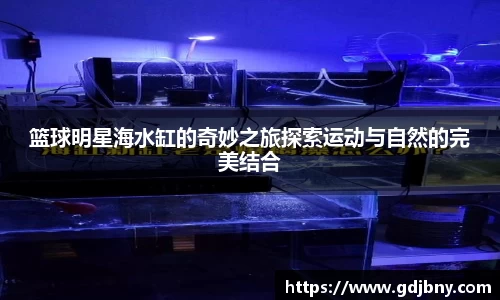 篮球明星海水缸的奇妙之旅探索运动与自然的完美结合
